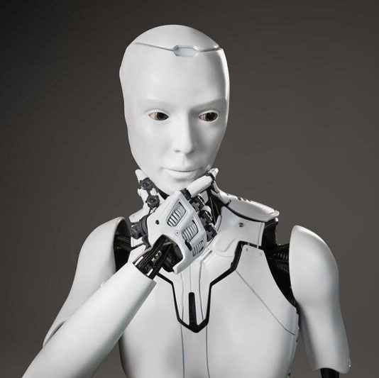 The Choicebot